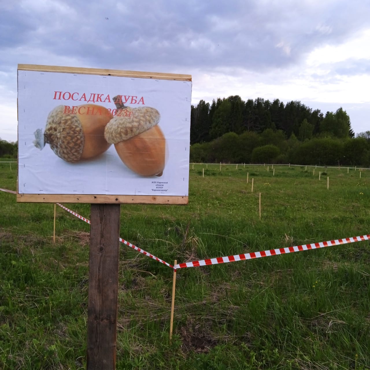 Акция "Зеленая весна".